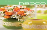 Napco 2013 Spring Catalog