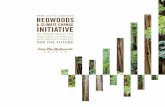 RCCI: Redwoods & Climate Change Initiative brochure