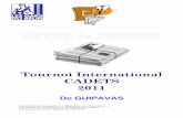 Revue de presse TIC 2011 de Guipavas