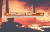 Управление лесными пожарами на экорегиональном уровне
