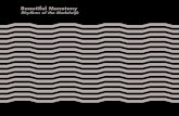 Beautiful Monotony / Rhythms of the Modelwijk