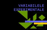 Variabile experimentale