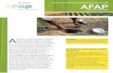 AFAP Summary Factsheet