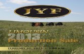 JYF Limousin 2013 Production Sale