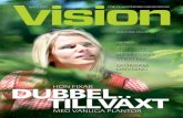 Vision nr 3-2011