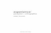 experience : perception + orthographics