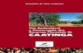 Uso Sustentável e Conservação dos Recursos Florestais da Caatinga