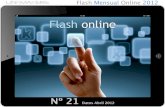 Flash Mensual Online Nº21