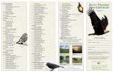 Katy Prairie Conservancy - Bird Checklist