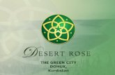 Dohuk Desert Rose