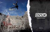 DVS Spring 2013 Catalog