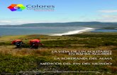 Un solitario en Tierra del Fuego. Colores Complementarios Nº 44 marzo de 2013
