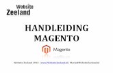 Handleiding Magento | Invoer simpele producten