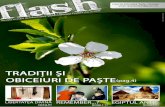 Revista Flash | Nr.2/2009