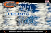 C'è Cedas Magazine 1 febbraio 2012