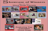 Showcase of winners May 24th 2011