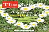 The Source – العدد 40- اللغة العربية
