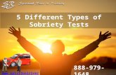 5 different types of sobriety tests