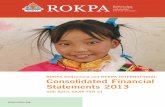ROKPA Financial Statements 2013