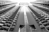 5th Year BArch Dissertation: Hong Kong - Sky City