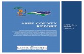 IsPOD DISTRICT REPORT - ASHE 11APR08