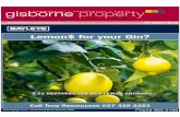 Gisborne Property 16-08-12