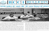 BCCI Bulletin 8 May 2013