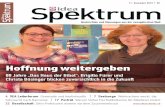 Idea Spektrum Schweiz 50/2013