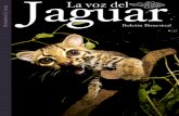 Boletin Barro Jaguar