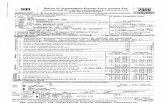 2009 IRS Form 990