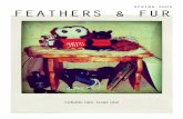 Feathers & Fur: Volume 1 - Issue 1