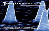 E-Nano Newsletter nº 17-18