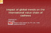 Impact of Global Trends on Cashew Sector ENG