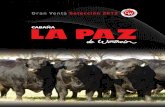 Remate Cabaña La Paz