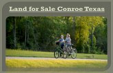 Land for sale conroe texas