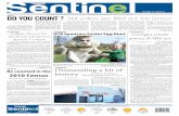 4.8.10 Towns Sentinel