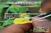 Modèle de laboratoire sans murs : le Labex brésilien