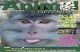 Animal Defender Spring 2010