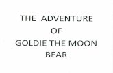 The Adventure of Goldie the Moon Bear by Anne N. of Claremont, NH