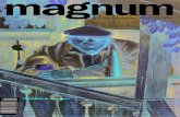 Журнал Magnum / Magnum Magazine (Issue 25, 2008)