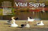 Vital Signs March 2013