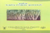 Improved Sugarcane Cultivation Methods Tamil,SBI
