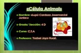 "Cella Animal"