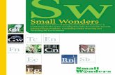 Small Wonders: Executive Summary