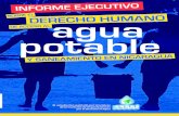 Informe ejecutivo sobre el derecho humano de acceso al agua potable y sanemaiento en Nicaragua