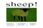 Sheep! magazine redesign