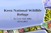 Visit to the Kern National Wildlife Refuge
