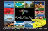 4C For Charity Calendar Brochure