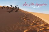 Luc and The Lovingtons album art
