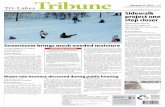 Tri-Lakes Tribune 022713